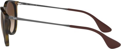 Rthtay-Bthtan RB4171 Erika Round Sunglasses