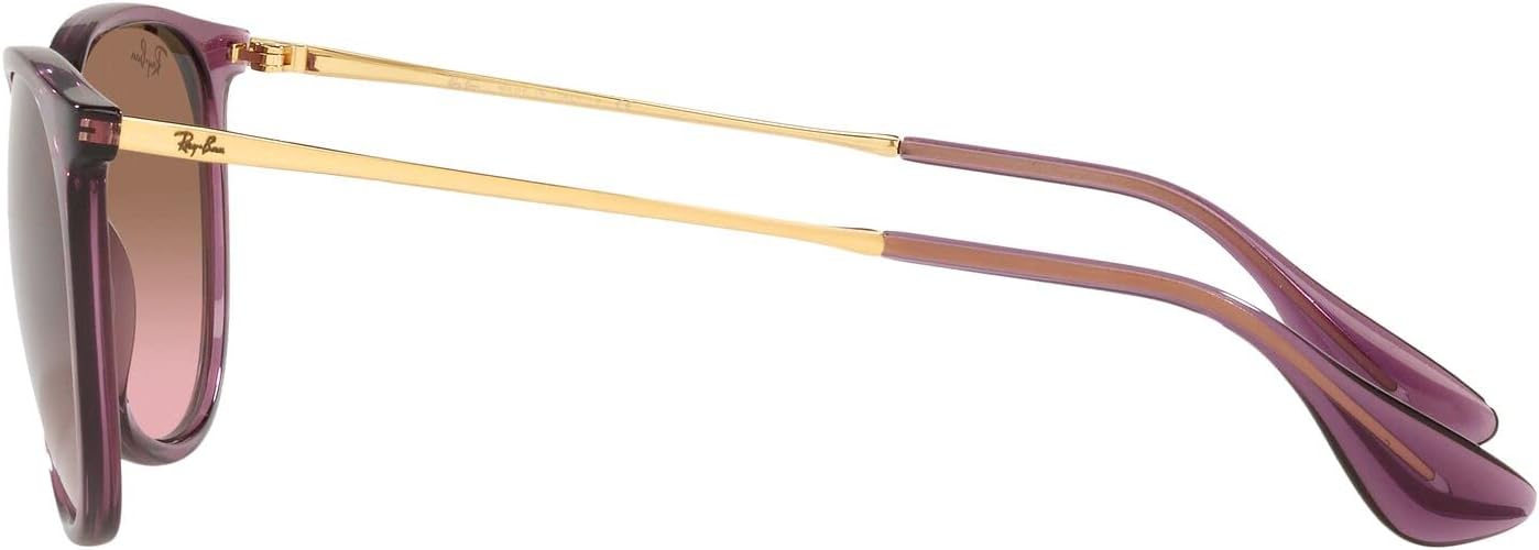 Rthtay-Bthtan RB4171 Erika Round Sunglasses