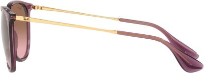 Rthtay-Bthtan RB4171 Erika Round Sunglasses