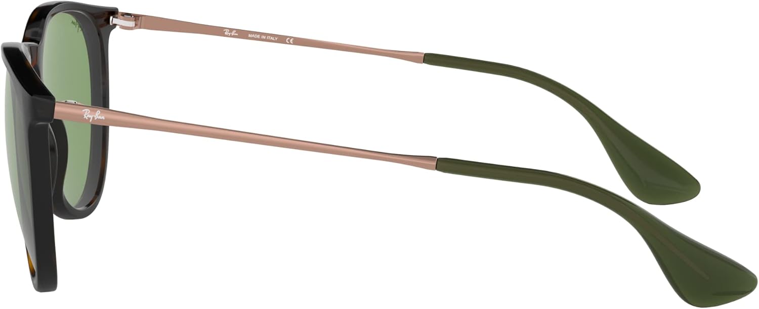 Rthtay-Bthtan RB4171 Erika Round Sunglasses