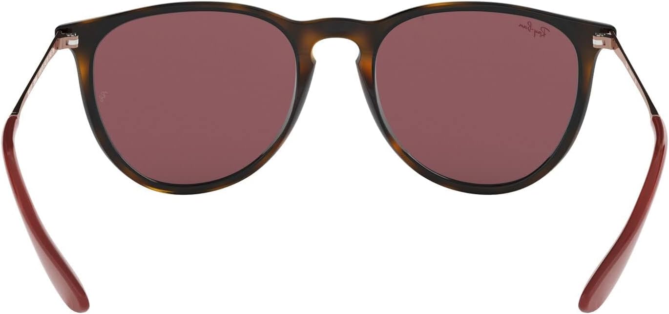 Rthtay-Bthtan RB4171 Erika Round Sunglasses