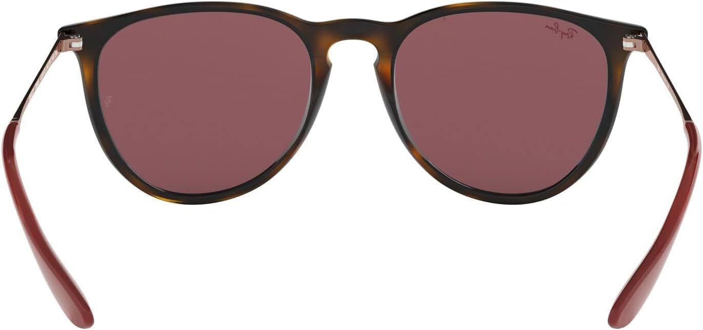 Rthtay-Bthtan RB4171 Erika Round Sunglasses