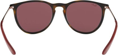 Rthtay-Bthtan RB4171 Erika Round Sunglasses