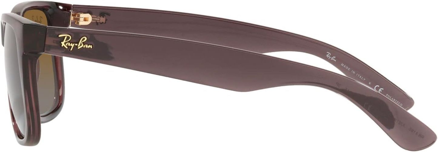 Rthtay-Bthtan RB4165 Justin Rectangular Sunglasses