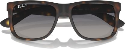 Rthtay-Bthtan RB4165 Justin Rectangular Sunglasses