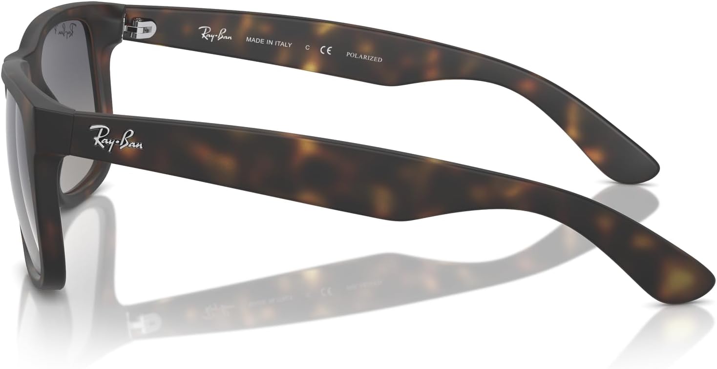 Rthtay-Bthtan RB4165 Justin Rectangular Sunglasses