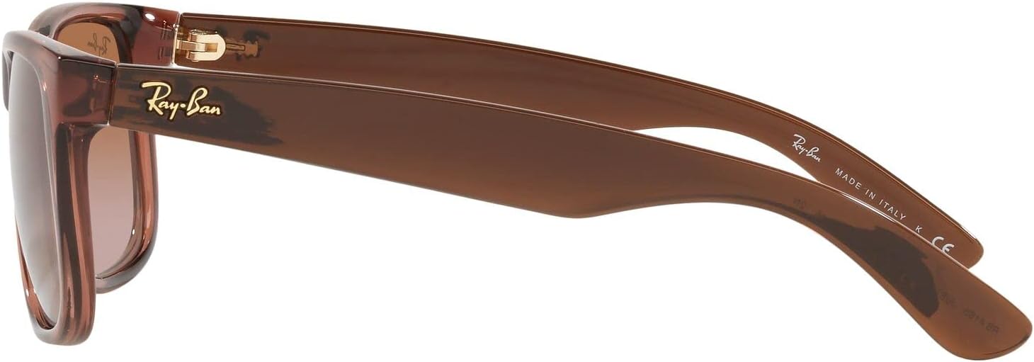 Rthtay-Bthtan RB4165 Justin Rectangular Sunglasses