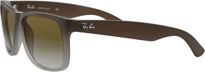 Rthtay-Bthtan RB4165 Justin Rectangular Sunglasses