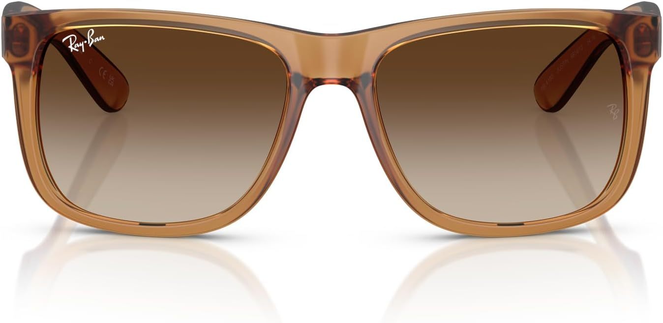 Rthtay-Bthtan RB4165 Justin Rectangular Sunglasses