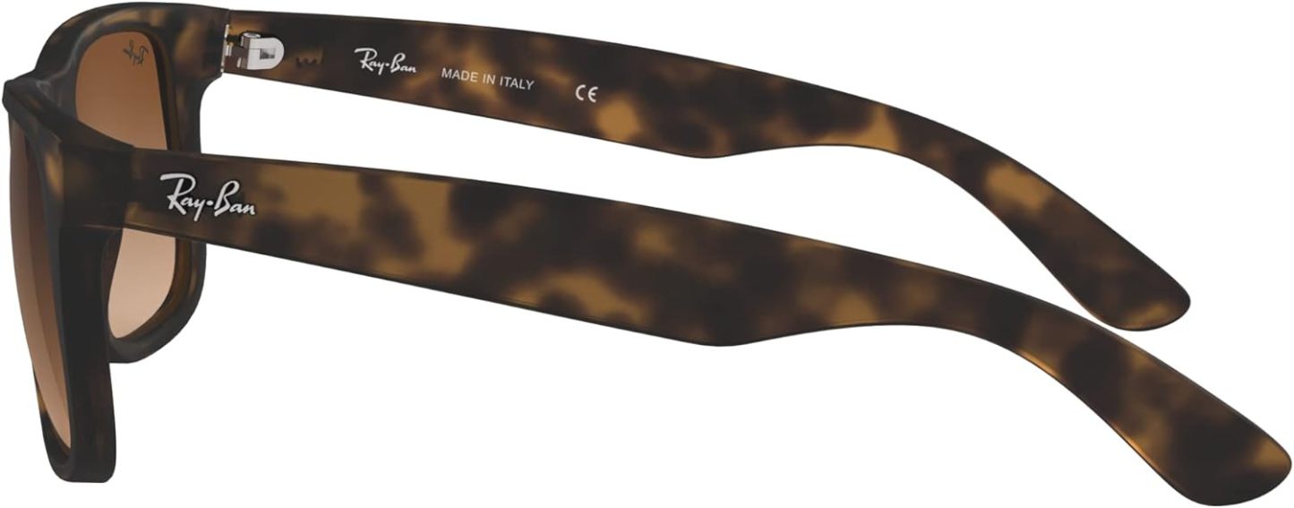 Rthtay-Bthtan RB4165 Justin Rectangular Sunglasses