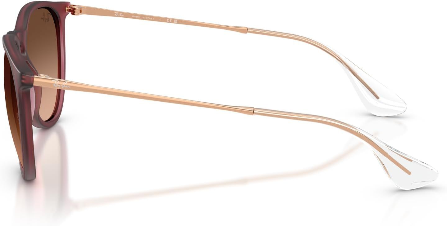 Rthtay-Bthtan RB4171 Erika Round Sunglasses