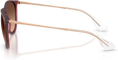 Rthtay-Bthtan RB4171 Erika Round Sunglasses