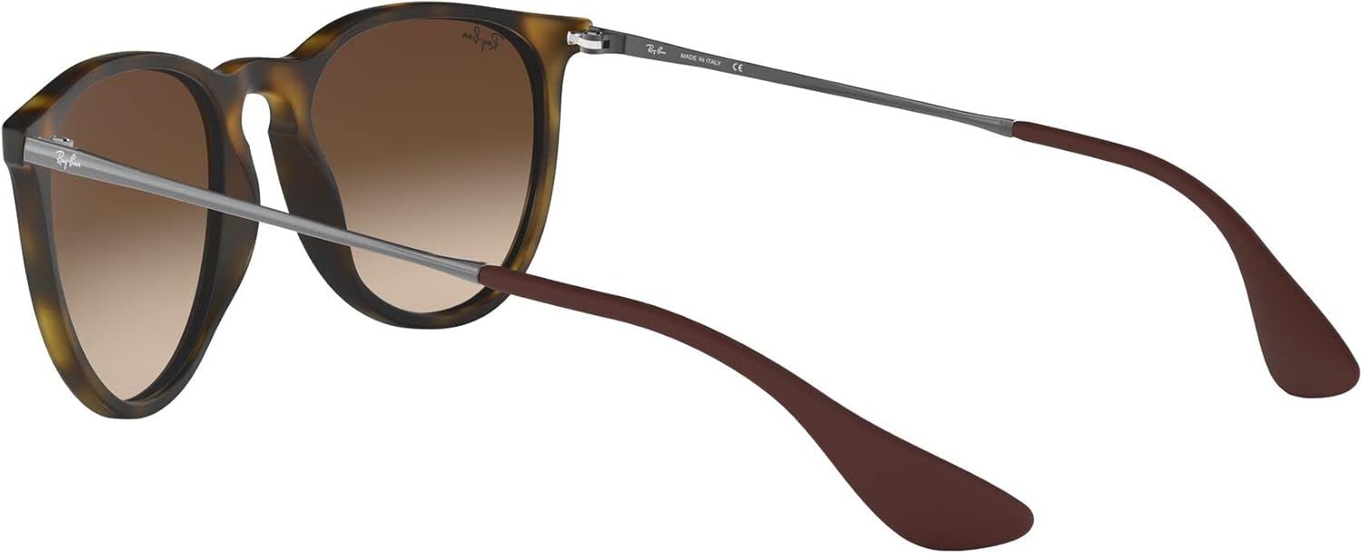 Rthtay-Bthtan RB4171 Erika Round Sunglasses