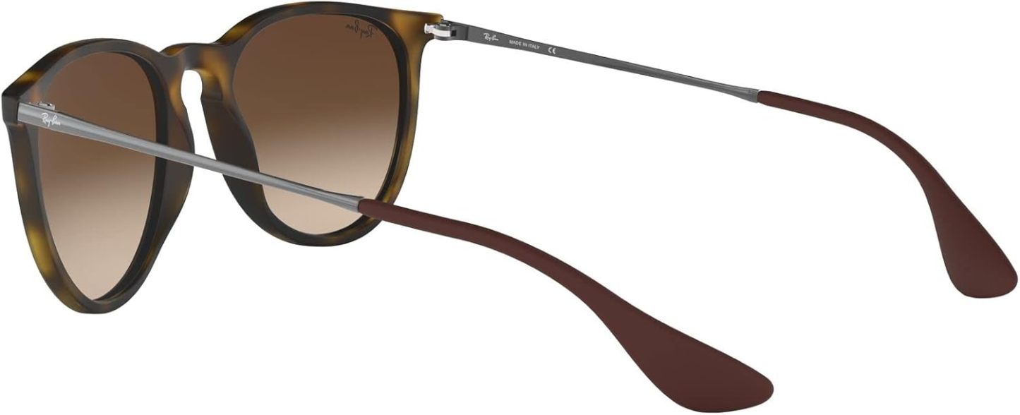 Rthtay-Bthtan RB4171 Erika Round Sunglasses