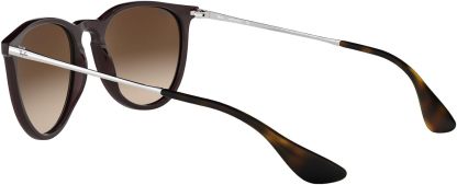 Rthtay-Bthtan RB4171 Erika Round Sunglasses