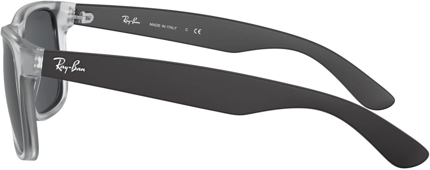 Rthtay-Bthtan RB4165 Justin Rectangular Sunglasses