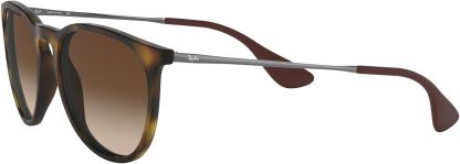 Rthtay-Bthtan RB4171 Erika Round Sunglasses