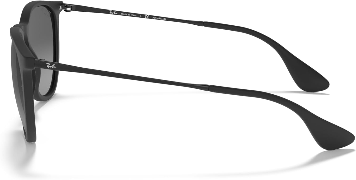 Rthtay-Bthtan RB4171 Erika Round Sunglasses