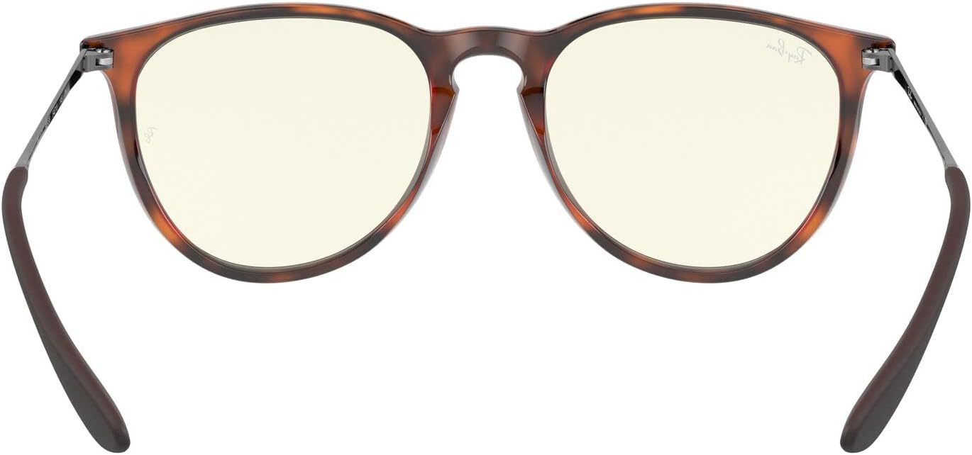 Rthtay-Bthtan RB4171 Erika Round Sunglasses