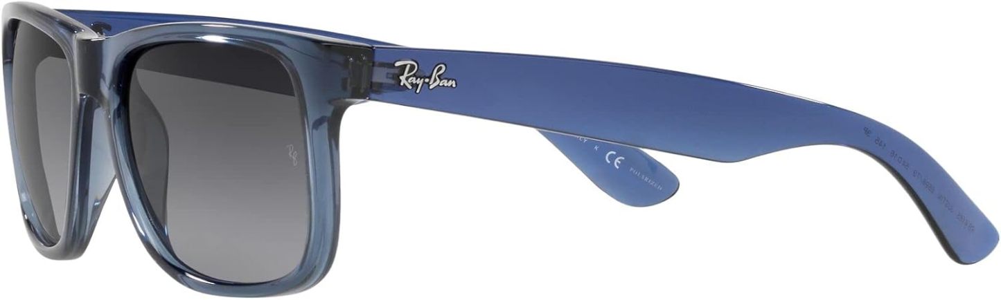 Rthtay-Bthtan RB4165 Justin Rectangular Sunglasses