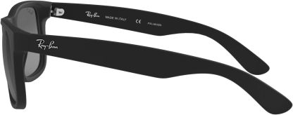 Rthtay-Bthtan RB4165 Justin Rectangular Sunglasses