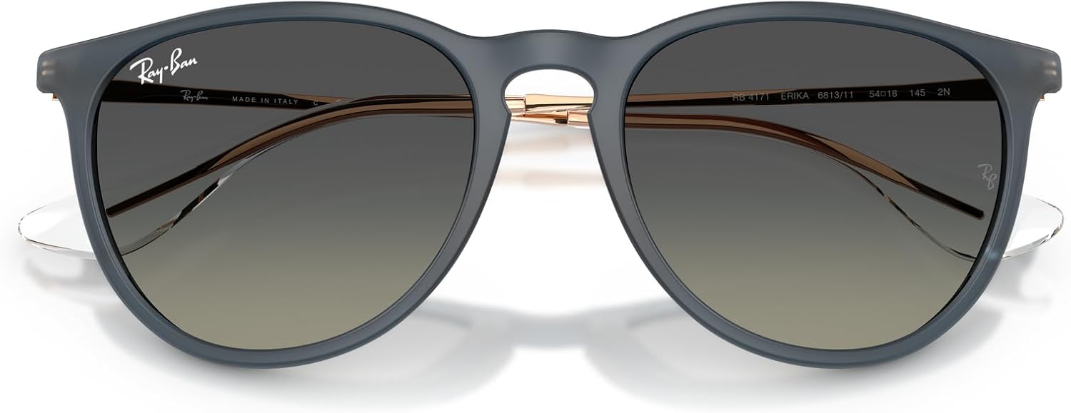 Rthtay-Bthtan RB4171 Erika Round Sunglasses