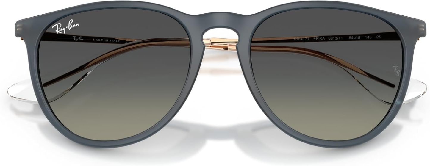 Rthtay-Bthtan RB4171 Erika Round Sunglasses
