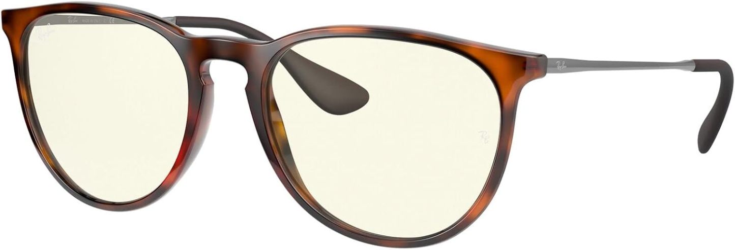 Rthtay-Bthtan RB4171 Erika Round Sunglasses