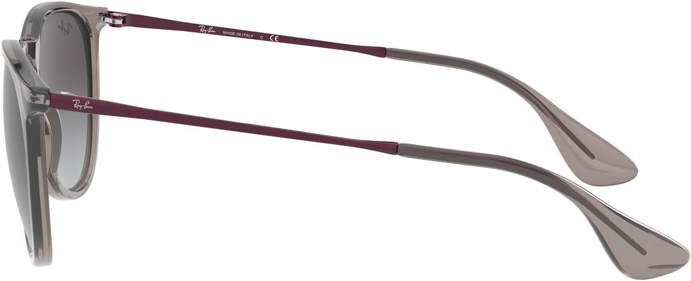 Rthtay-Bthtan RB4171 Erika Round Sunglasses