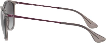 Rthtay-Bthtan RB4171 Erika Round Sunglasses