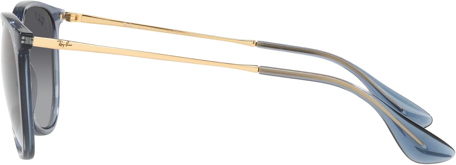 Rthtay-Bthtan RB4171 Erika Round Sunglasses