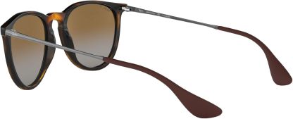 Rthtay-Bthtan RB4171 Erika Round Sunglasses
