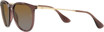 Rthtay-Bthtan RB4171 Erika Round Sunglasses