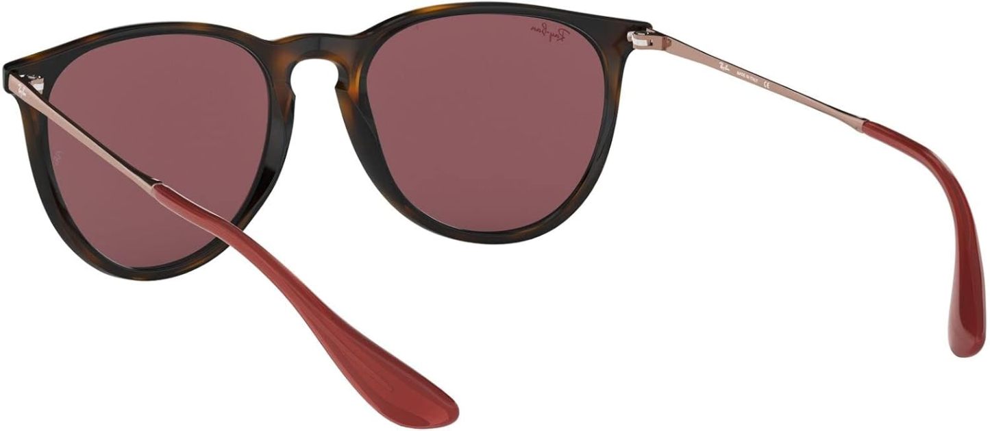 Rthtay-Bthtan RB4171 Erika Round Sunglasses