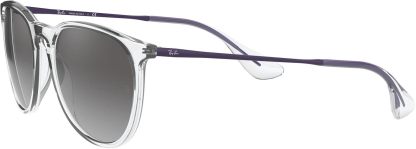 Rthtay-Bthtan RB4171 Erika Round Sunglasses