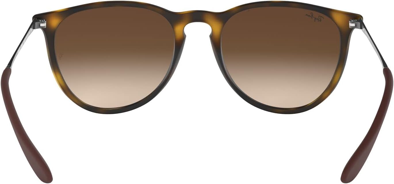 Rthtay-Bthtan RB4171 Erika Round Sunglasses