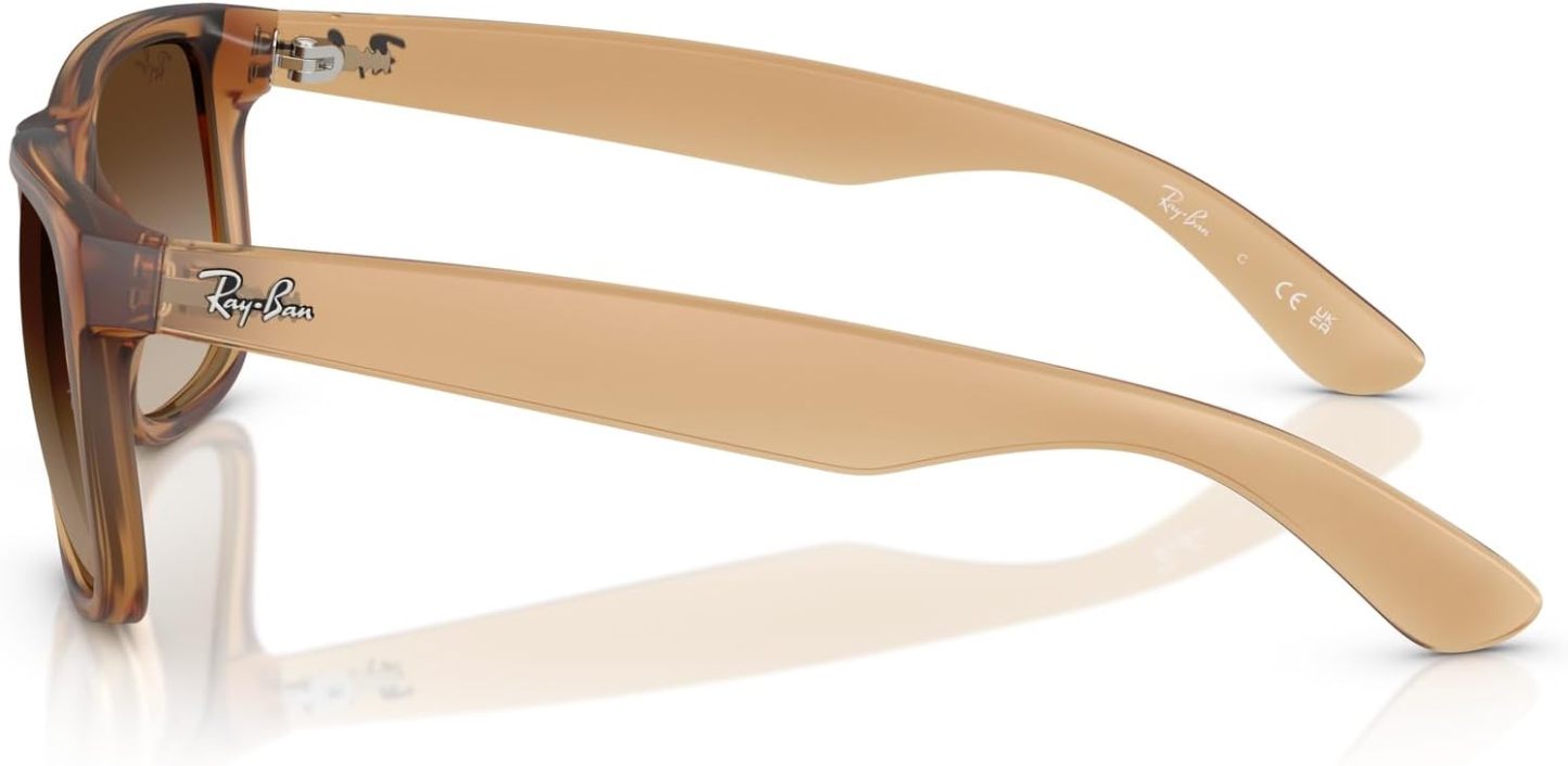 Rthtay-Bthtan RB4165 Justin Rectangular Sunglasses