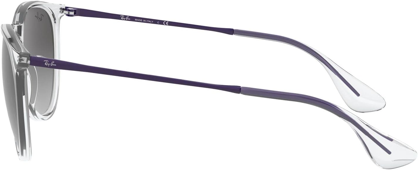 Rthtay-Bthtan RB4171 Erika Round Sunglasses