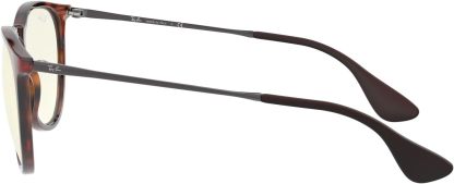 Rthtay-Bthtan RB4171 Erika Round Sunglasses