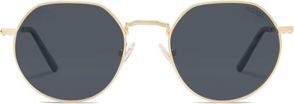 SOthtJOS Round Polygon Polarized Sunglasses for Women Men Retro Classic Vintage Panto Shades SJ1157