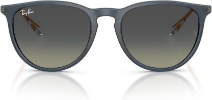 Rthtay-Bthtan RB4171 Erika Round Sunglasses