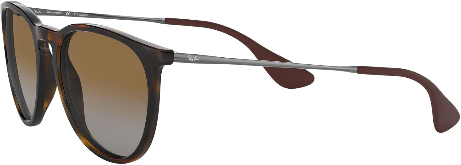 Rthtay-Bthtan RB4171 Erika Round Sunglasses