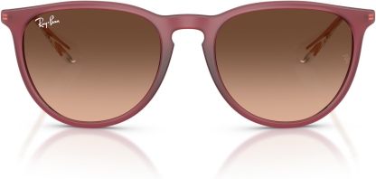 Rthtay-Bthtan RB4171 Erika Round Sunglasses