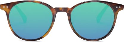 SOthtJOS Small Round Classic Polarized Sunglasses for Women Men Vintage Style UV400 Lens SJ2113