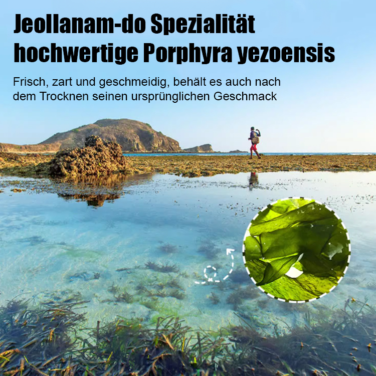 Nährstoffreiche Obst- und Gemüse-Seealgenchips