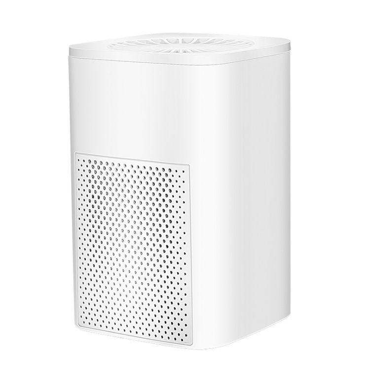 Negative Ion Air Purifier