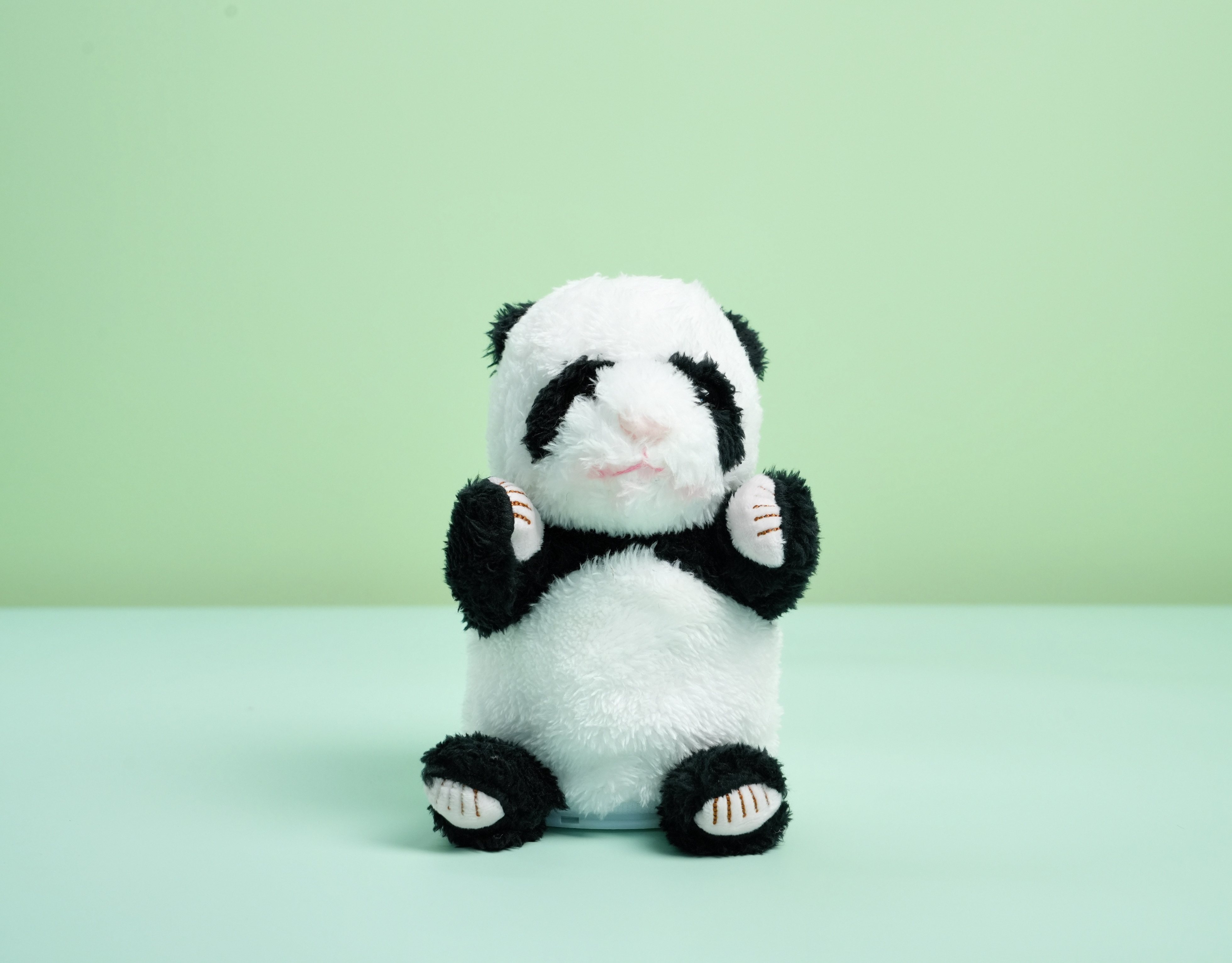 Talking Panda Plush Toy – Repeat What You Say!