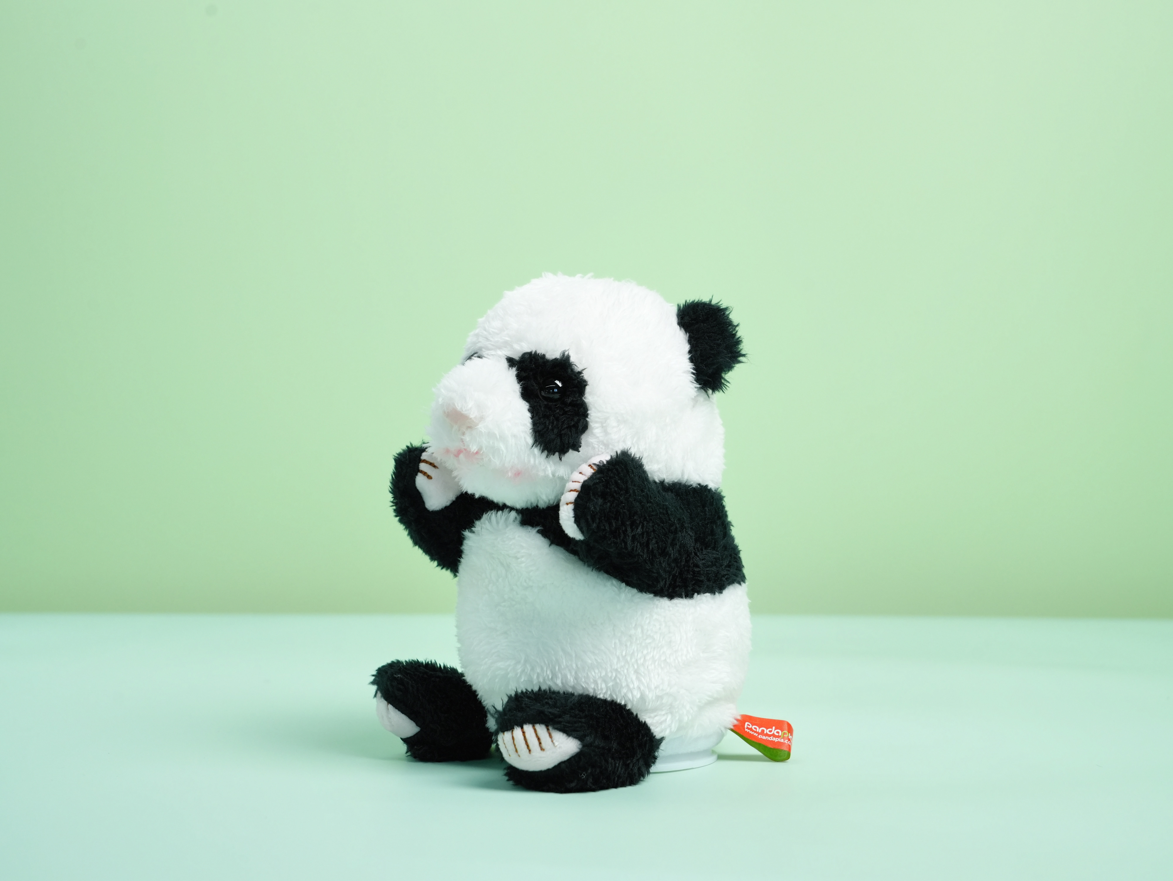 Talking Panda Plush Toy – Repeat What You Say!