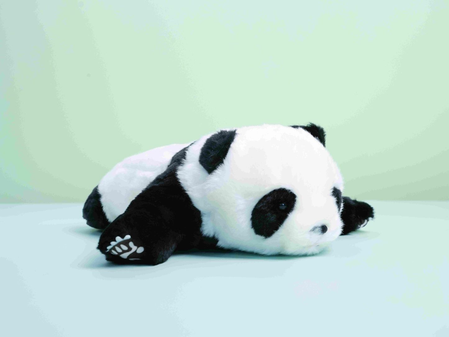30-Day/40-Day Cuddly Panda Plush Toy