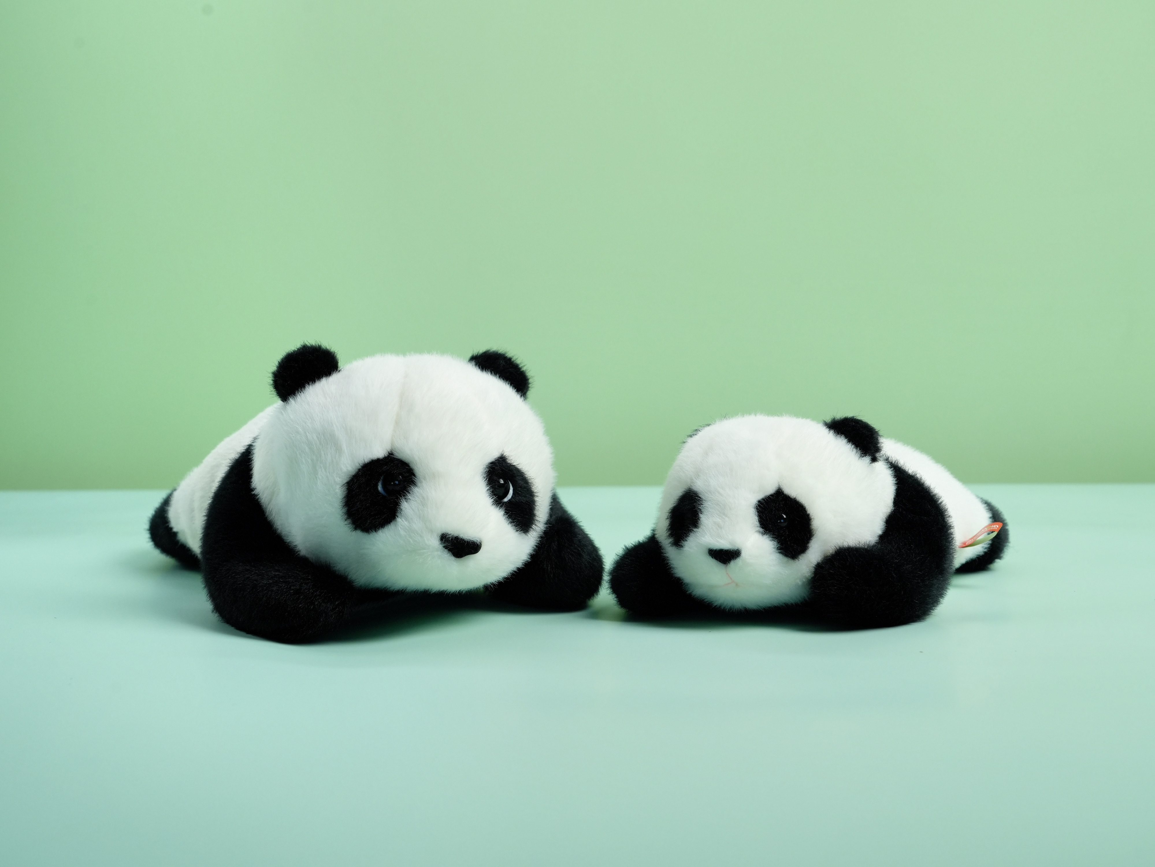 Lying Panda Plush Toy